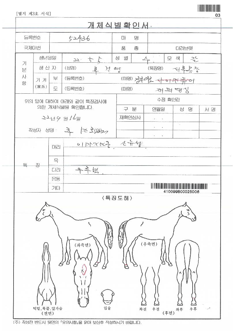 ¼ºÎ´í½ÌÀÇ Ãø¸é,¿ì¸é,µÞ¸é,µÎ»ó,´Ù¸®ÀÇ Æ¯Â¡µµÇØ