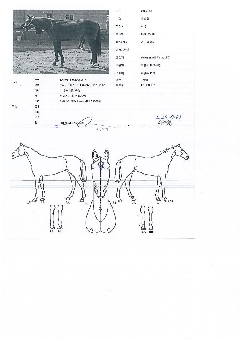 ��ո��� ����,���,�޸�,�λ�,�ٸ��� Ư¡����