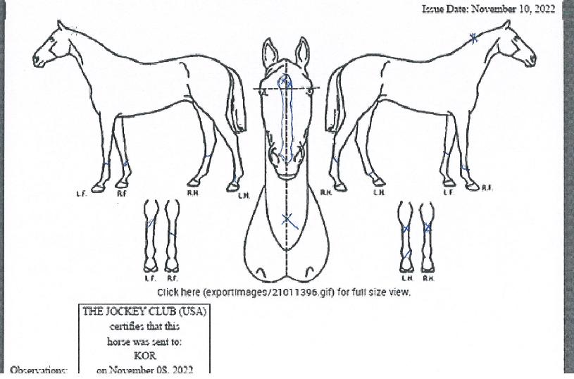 ¸¶ÀÌÆ¼¼ðÀÇ Ãø¸é,¿ì¸é,µÞ¸é,µÎ»ó,´Ù¸®ÀÇ Æ¯Â¡µµÇØ