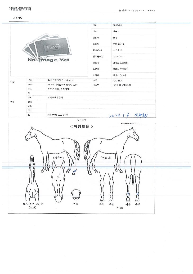 �ѿ츮�� ����,���,�޸�,�λ�,�ٸ��� Ư¡����