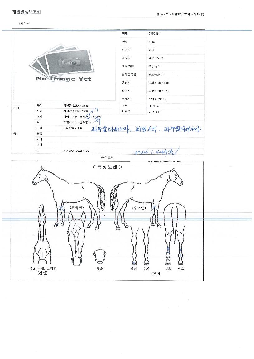 ī���� ����,���,�޸�,�λ�,�ٸ��� Ư¡����