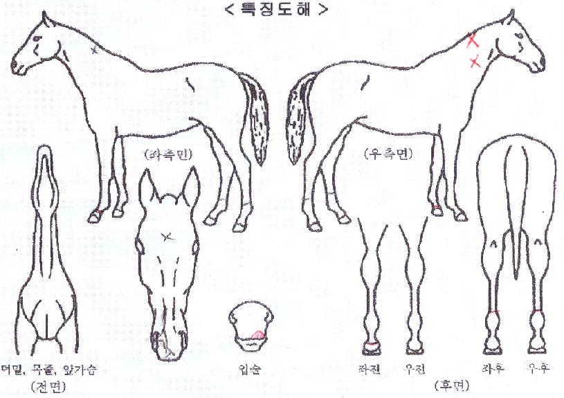 ���͸��ͽ��� ����,���,�޸�,�λ�,�ٸ��� Ư¡����