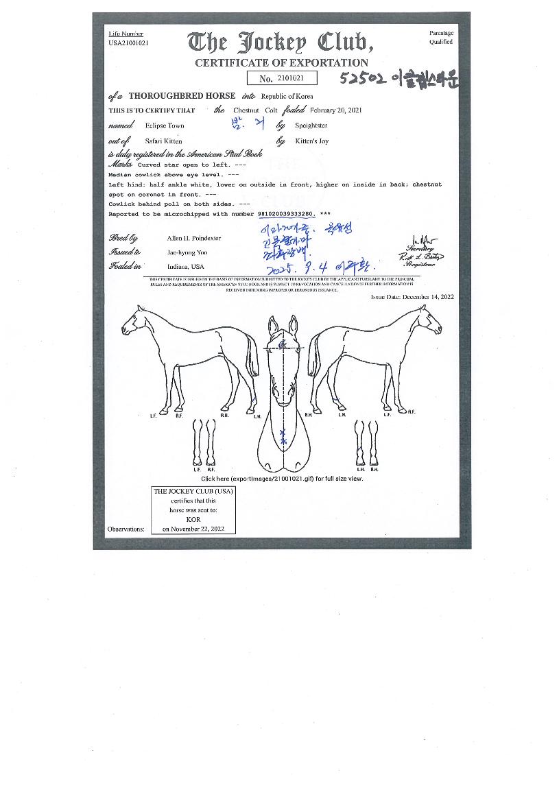 ÀÌŬ¸³½ºÅ¸¿îÀÇ Ãø¸é,¿ì¸é,µÞ¸é,µÎ»ó,´Ù¸®ÀÇ Æ¯Â¡µµÇØ