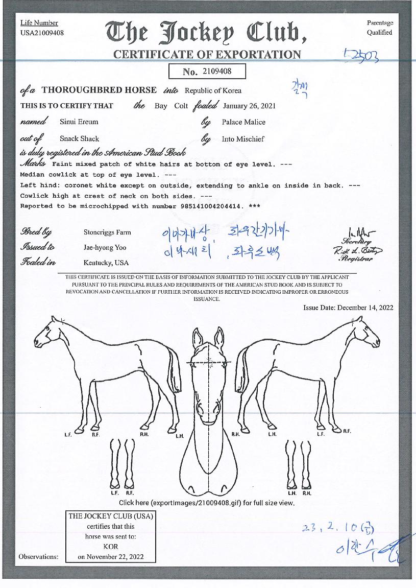 ½ÅÀÇÀ̸§ÀÇ Ãø¸é,¿ì¸é,µÞ¸é,µÎ»ó,´Ù¸®ÀÇ Æ¯Â¡µµÇØ