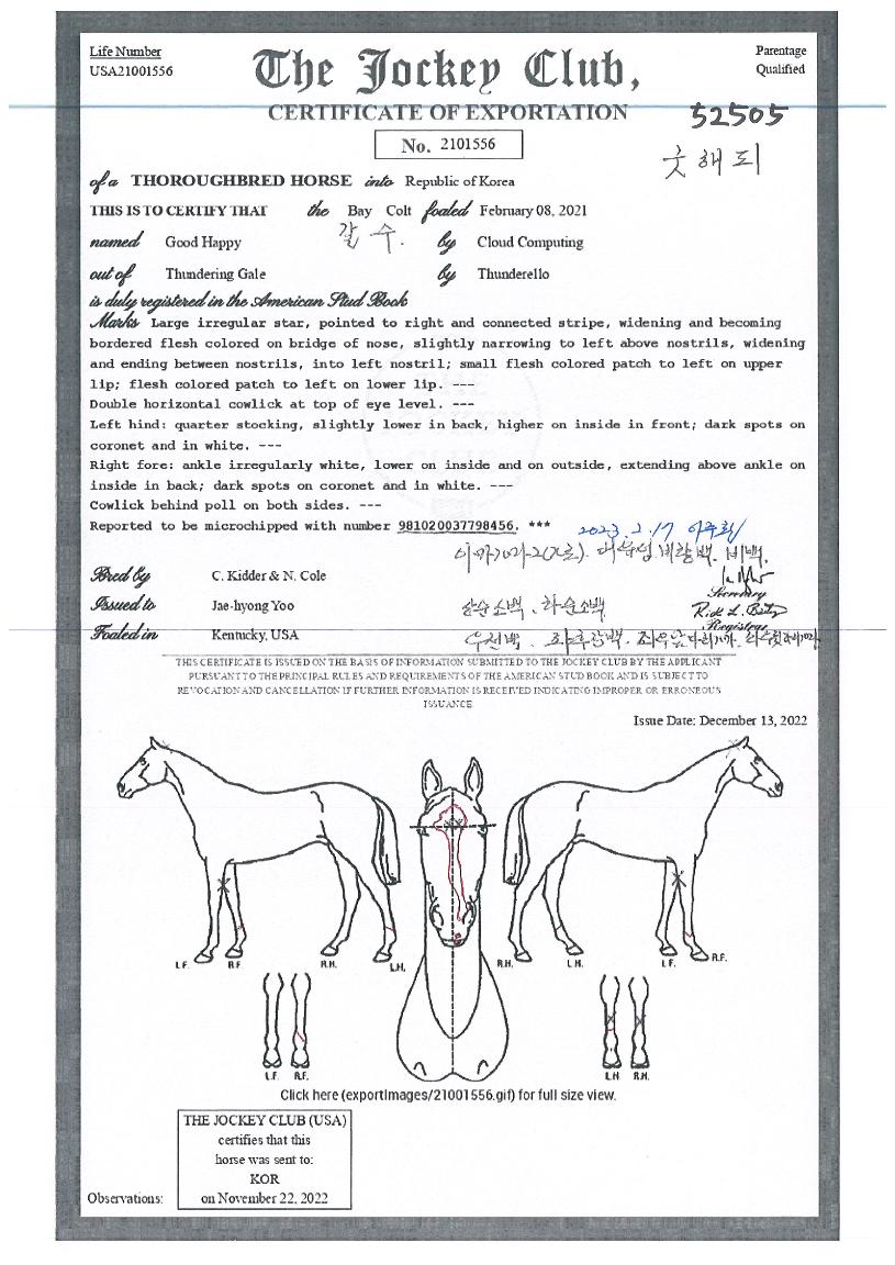 �������� ����,���,�޸�,�λ�,�ٸ��� Ư¡����