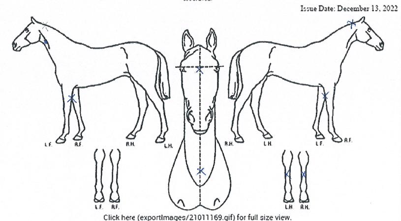 ������Ȱ�� ����,���,�޸�,�λ�,�ٸ��� Ư¡����