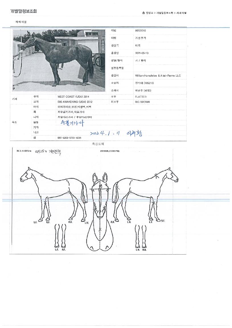 �ż������� ����,���,�޸�,�λ�,�ٸ��� Ư¡����