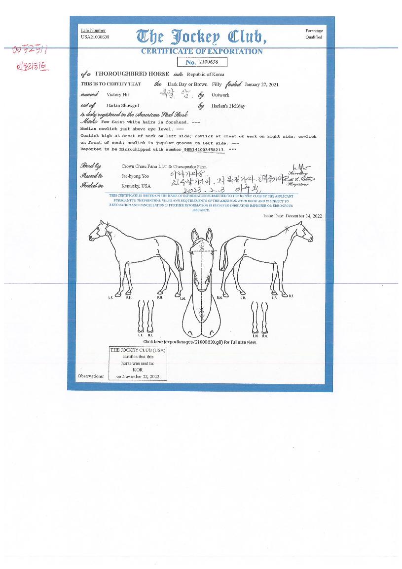 ºòÅ丮È÷Æ®ÀÇ Ãø¸é,¿ì¸é,µÞ¸é,µÎ»ó,´Ù¸®ÀÇ Æ¯Â¡µµÇØ