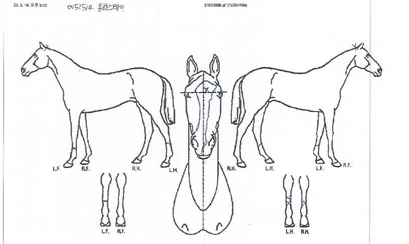 ��ȭ�������� ����,���,�޸�,�λ�,�ٸ��� Ư¡����