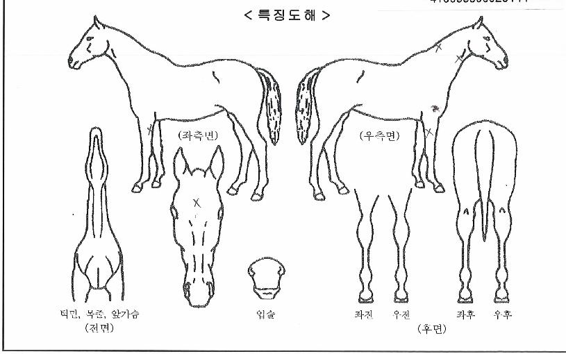 ��濩���� ����,���,�޸�,�λ�,�ٸ��� Ư¡����