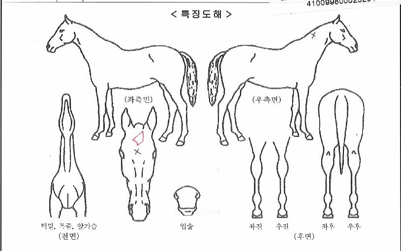 ´Ù¿ÂµðÀÇ Ãø¸é,¿ì¸é,µÞ¸é,µÎ»ó,´Ù¸®ÀÇ Æ¯Â¡µµÇØ