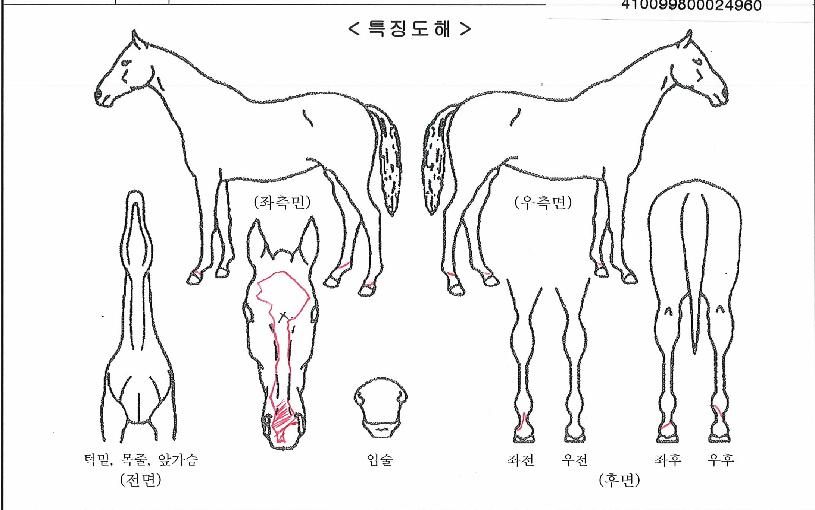 ���̿����� ����,���,�޸�,�λ�,�ٸ��� Ư¡����