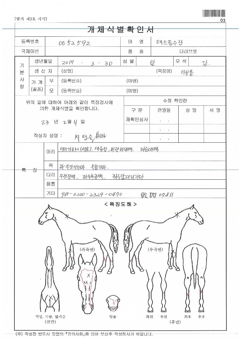 ÅÃÆ®Ç®¼öÀÜÀÇ Ãø¸é,¿ì¸é,µÞ¸é,µÎ»ó,´Ù¸®ÀÇ Æ¯Â¡µµÇØ