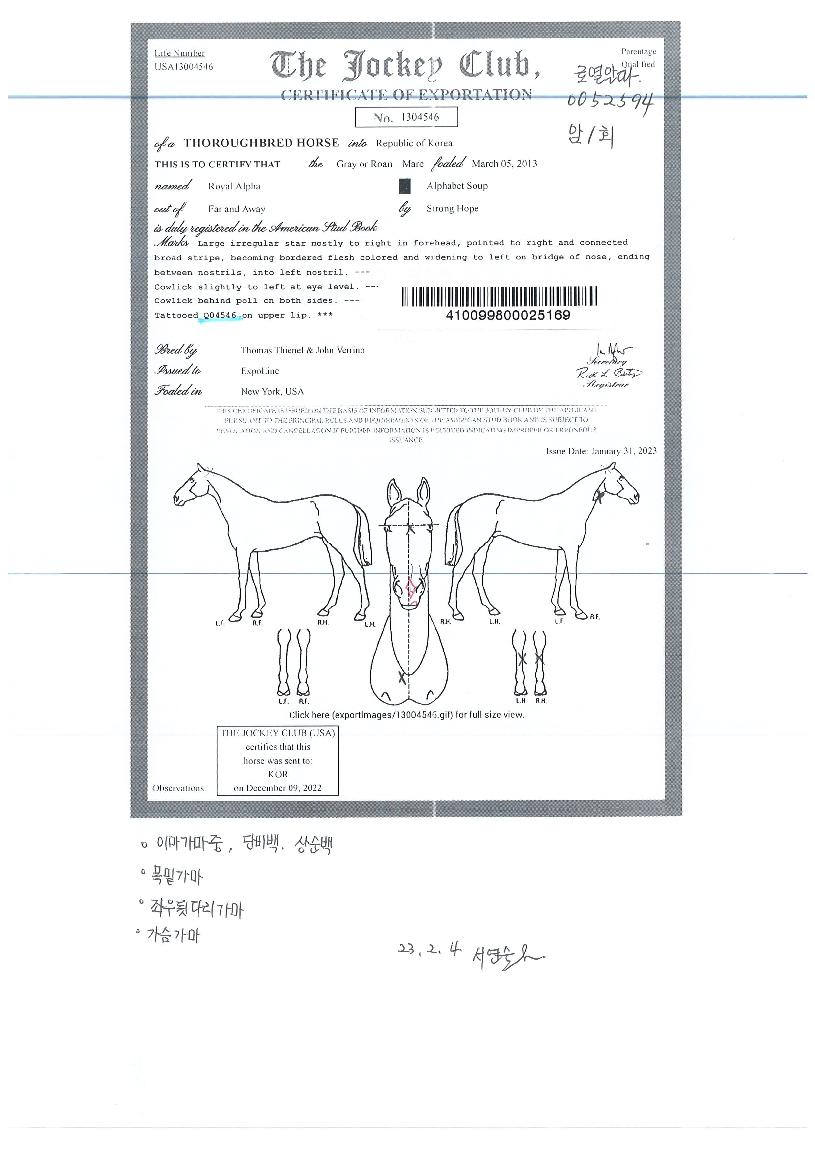 �ο������� ����,���,�޸�,�λ�,�ٸ��� Ư¡����