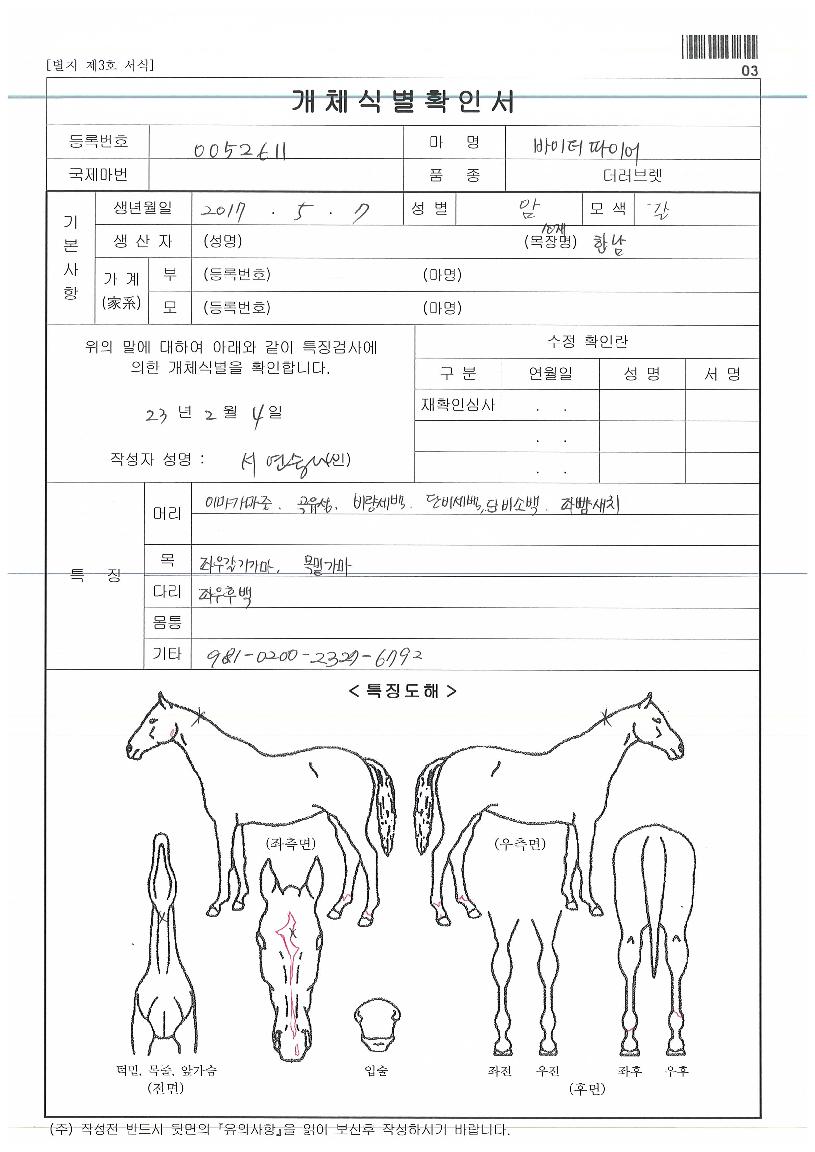 ¹ÙÀÌ´õÆÄÀ̾îÀÇ Ãø¸é,¿ì¸é,µÞ¸é,µÎ»ó,´Ù¸®ÀÇ Æ¯Â¡µµÇØ