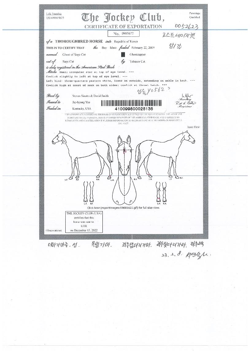 °í½ºÆ®¼¼ÀÌÁöĹÀÇ Ãø¸é,¿ì¸é,µÞ¸é,µÎ»ó,´Ù¸®ÀÇ Æ¯Â¡µµÇØ