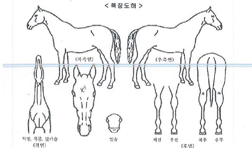 ��Ŭ�����Ŀ��� ����,���,�޸�,�λ�,�ٸ��� Ư¡����