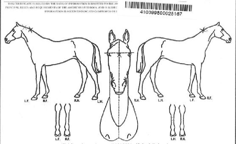 ���ϸ����� ����,���,�޸�,�λ�,�ٸ��� Ư¡����