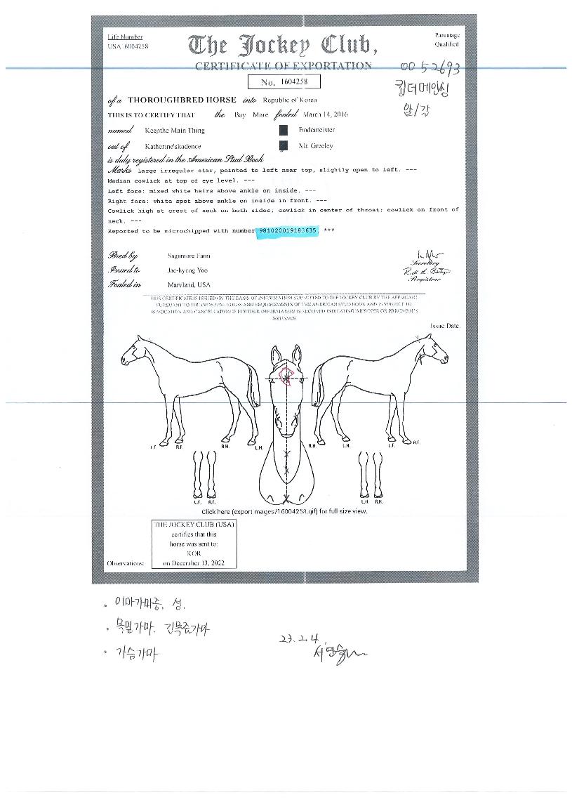 ŵ�����ν��� ����,���,�޸�,�λ�,�ٸ��� Ư¡����