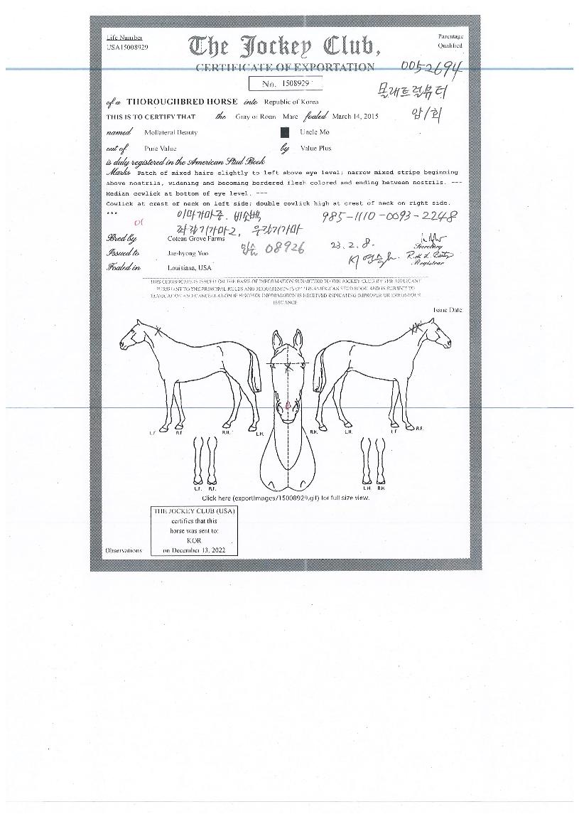 ����Ʈ����Ƽ�� ����,���,�޸�,�λ�,�ٸ��� Ư¡����