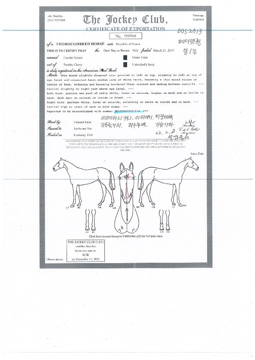 ÆäÀÌ¿§ÄýÀÇ Ãø¸é,¿ì¸é,µÞ¸é,µÎ»ó,´Ù¸®ÀÇ Æ¯Â¡µµÇØ