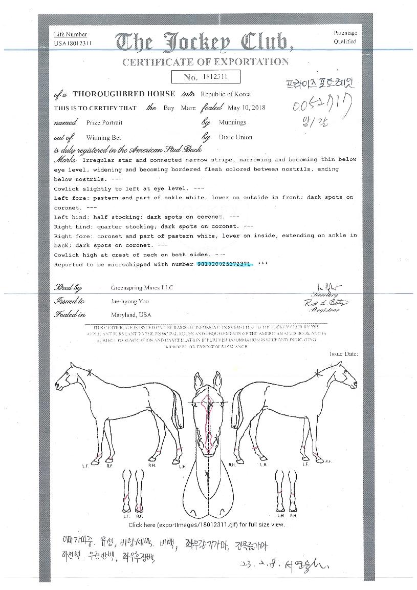 ÇÁ¶óÀÌÁîÆ÷Æ®·¹ÀÕÀÇ Ãø¸é,¿ì¸é,µÞ¸é,µÎ»ó,´Ù¸®ÀÇ Æ¯Â¡µµÇØ