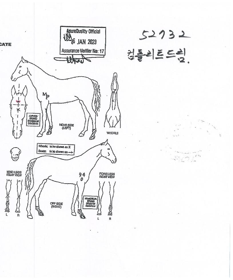 ÄÄÇø®Æ®µå¸²ÀÇ Ãø¸é,¿ì¸é,µÞ¸é,µÎ»ó,´Ù¸®ÀÇ Æ¯Â¡µµÇØ