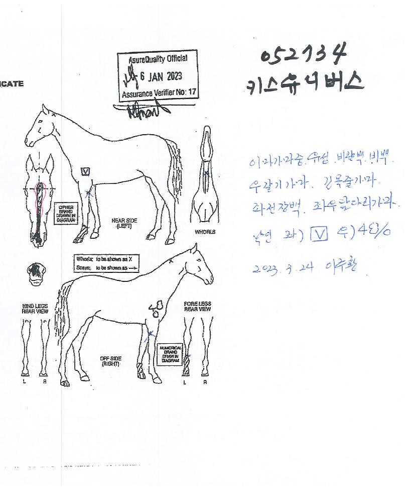 Ű�����Ϲ����� ����,���,�޸�,�λ�,�ٸ��� Ư¡����