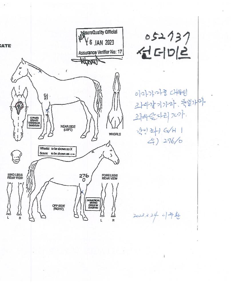 ¼±´õ¹Ì¸£ÀÇ Ãø¸é,¿ì¸é,µÞ¸é,µÎ»ó,´Ù¸®ÀÇ Æ¯Â¡µµÇØ