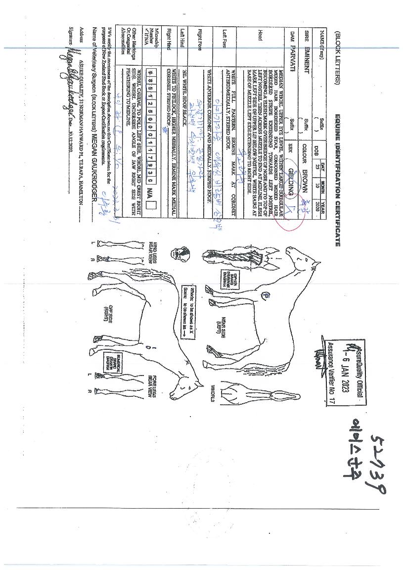 ���̽������� ����,���,�޸�,�λ�,�ٸ��� Ư¡����