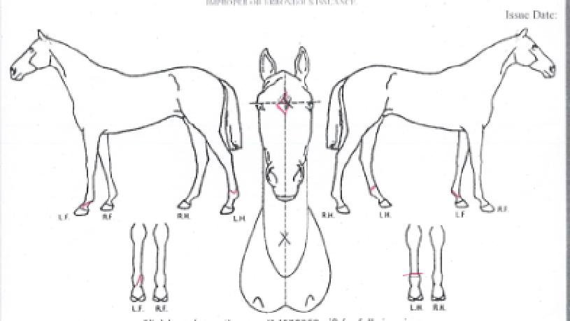 �����ε����� ����,���,�޸�,�λ�,�ٸ��� Ư¡����