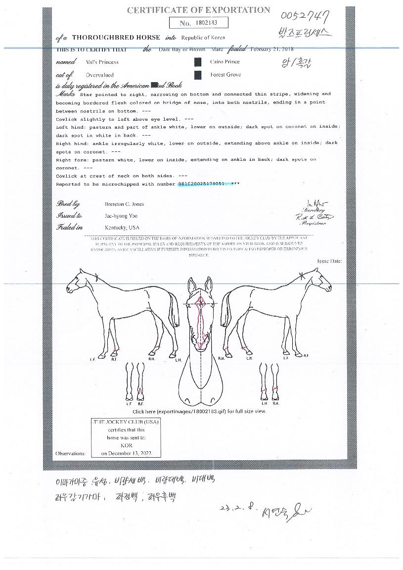 �������������� ����,���,�޸�,�λ�,�ٸ��� Ư¡����