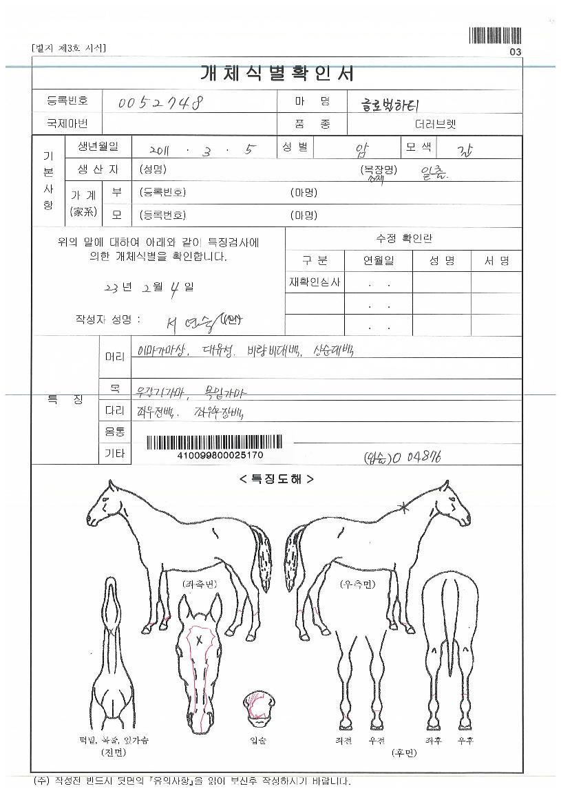 ±Û·Î¹úÇÏÆ¼ÀÇ Ãø¸é,¿ì¸é,µÞ¸é,µÎ»ó,´Ù¸®ÀÇ Æ¯Â¡µµÇØ