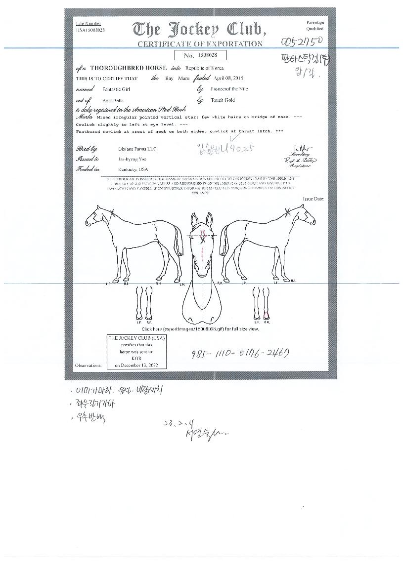 ��Ÿ��ƽ������ ����,���,�޸�,�λ�,�ٸ��� Ư¡����