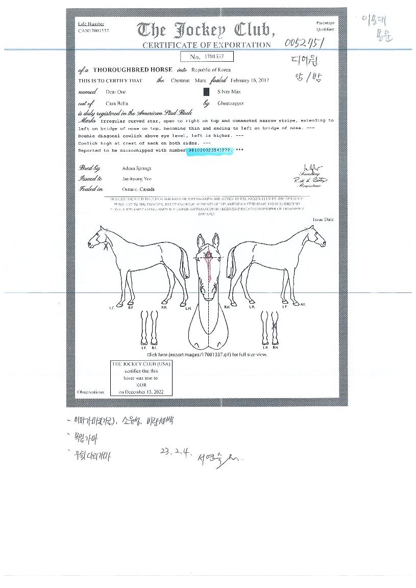 µð¾î¿øÀÇ Ãø¸é,¿ì¸é,µÞ¸é,µÎ»ó,´Ù¸®ÀÇ Æ¯Â¡µµÇØ