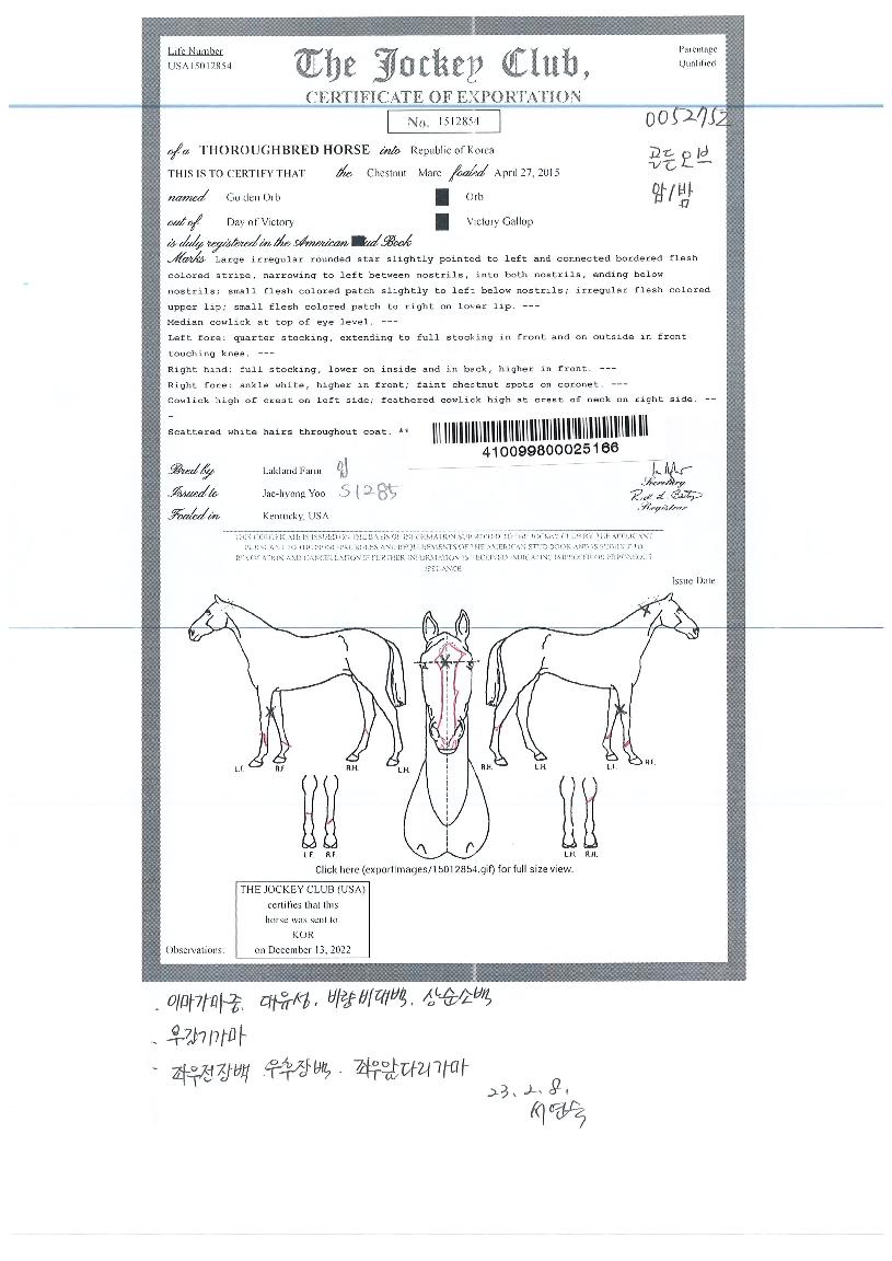 �������� ����,���,�޸�,�λ�,�ٸ��� Ư¡����