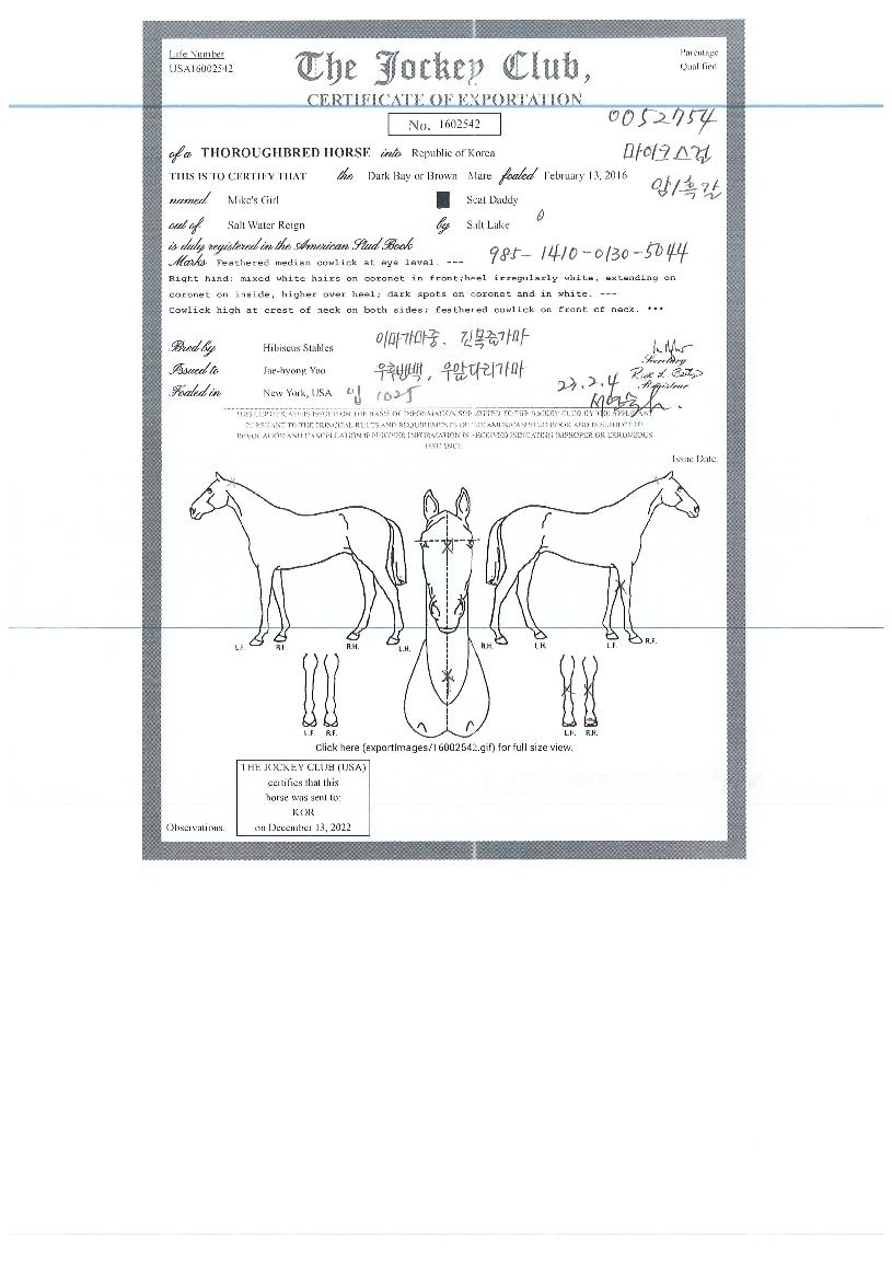 ����ũ������ ����,���,�޸�,�λ�,�ٸ��� Ư¡����