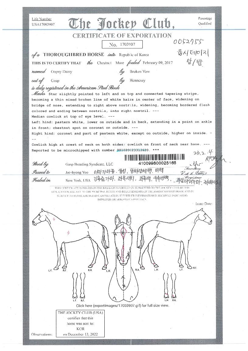 ¿ó½Ãµ¥ÀÌÁöÀÇ Ãø¸é,¿ì¸é,µÞ¸é,µÎ»ó,´Ù¸®ÀÇ Æ¯Â¡µµÇØ