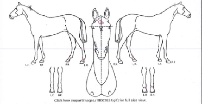 ��ġ�� ����,���,�޸�,�λ�,�ٸ��� Ư¡����