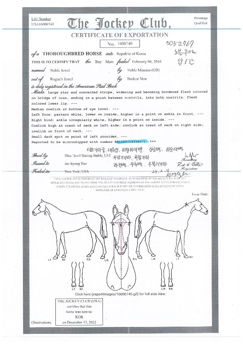 ³ëºíÁÖ¾óÀÇ Ãø¸é,¿ì¸é,µÞ¸é,µÎ»ó,´Ù¸®ÀÇ Æ¯Â¡µµÇØ