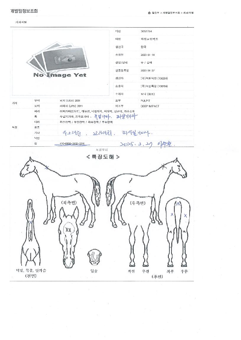 ÆÄ¿öÇ®ÀÓÆÑÆ®ÀÇ Ãø¸é,¿ì¸é,µÞ¸é,µÎ»ó,´Ù¸®ÀÇ Æ¯Â¡µµÇØ
