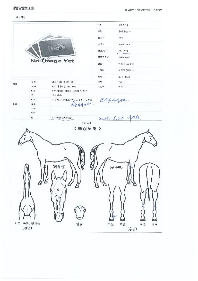 À¯ÄèÇѽÂÀÚÀÇ Ãø¸é,¿ì¸é,µÞ¸é,µÎ»ó,´Ù¸®ÀÇ Æ¯Â¡µµÇØ