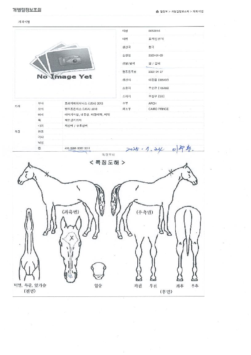 ÇöóÀ×¼±´õÀÇ Ãø¸é,¿ì¸é,µÞ¸é,µÎ»ó,´Ù¸®ÀÇ Æ¯Â¡µµÇØ