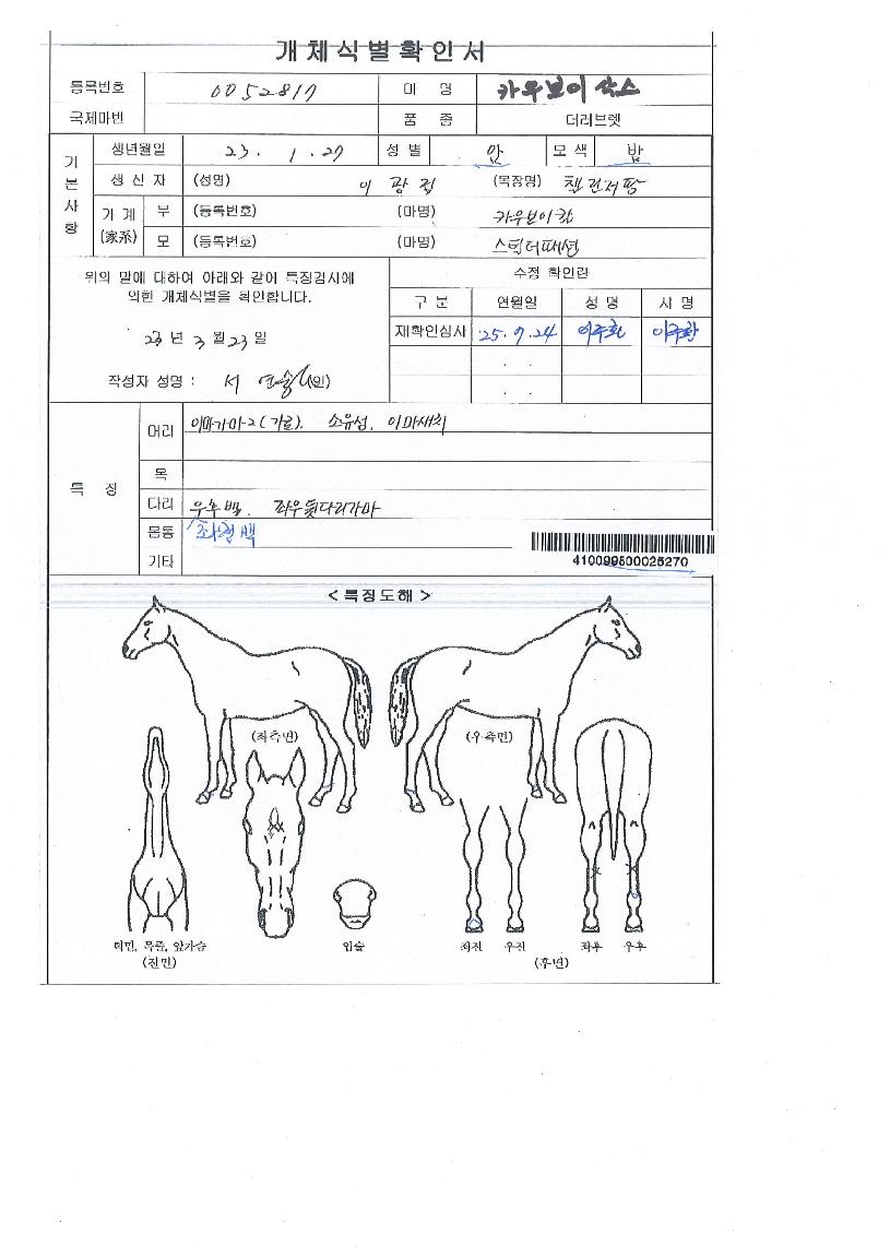 ī�캸�̻轺�� ����,���,�޸�,�λ�,�ٸ��� Ư¡����