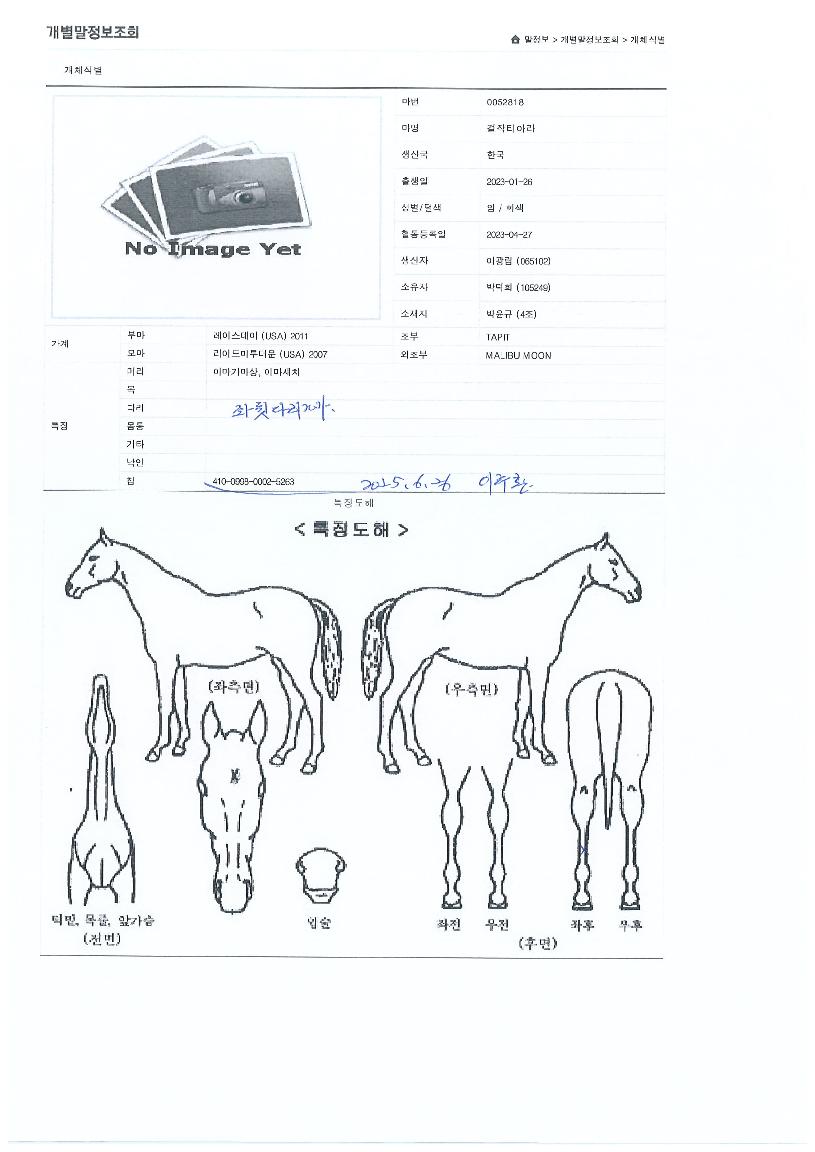 ����Ƽ�ƶ��� ����,���,�޸�,�λ�,�ٸ��� Ư¡����