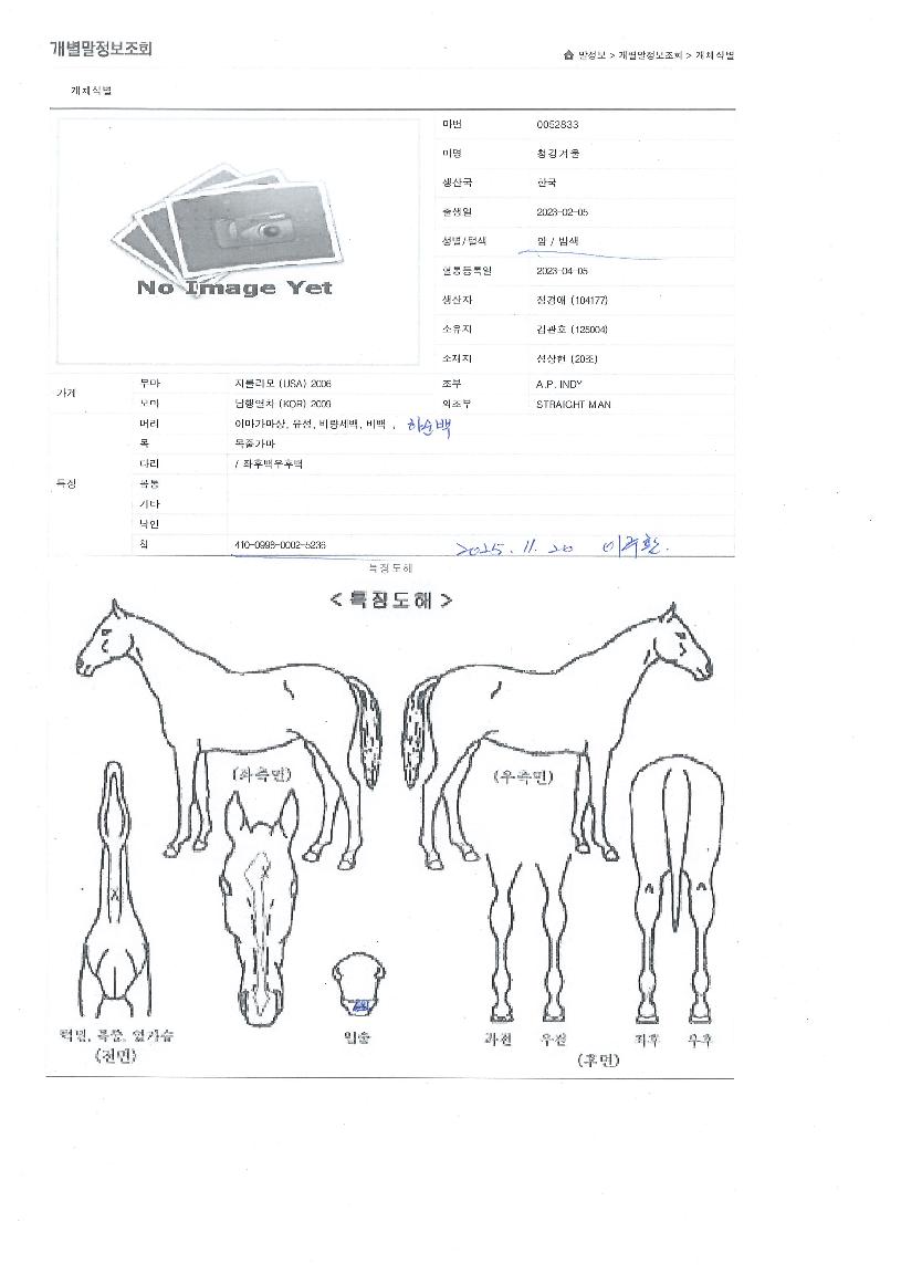 û°°Ü¿ïÀÇ Ãø¸é,¿ì¸é,µÞ¸é,µÎ»ó,´Ù¸®ÀÇ Æ¯Â¡µµÇØ