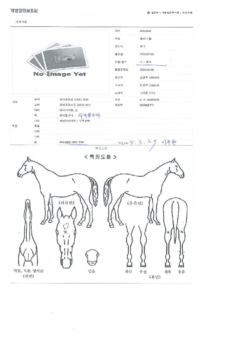 ������� ����,���,�޸�,�λ�,�ٸ��� Ư¡����