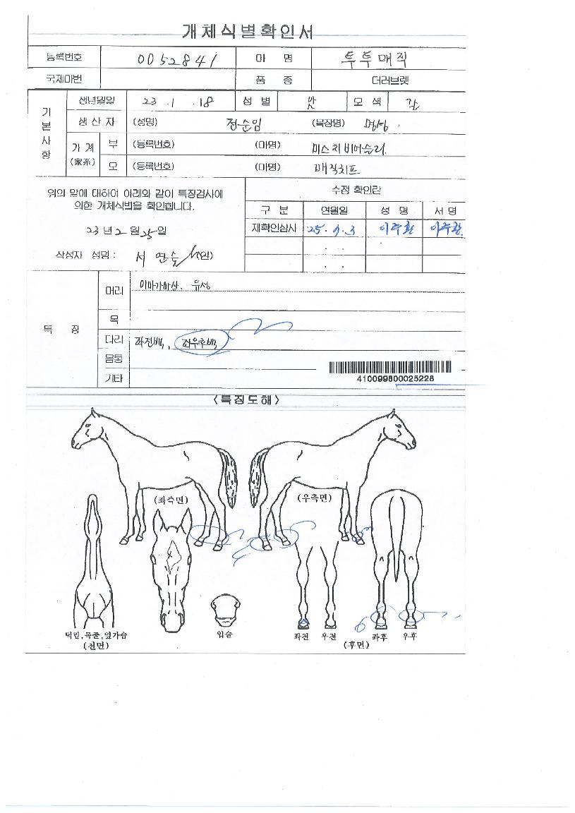 ÅõÅõ¸ÅÁ÷ÀÇ Ãø¸é,¿ì¸é,µÞ¸é,µÎ»ó,´Ù¸®ÀÇ Æ¯Â¡µµÇØ