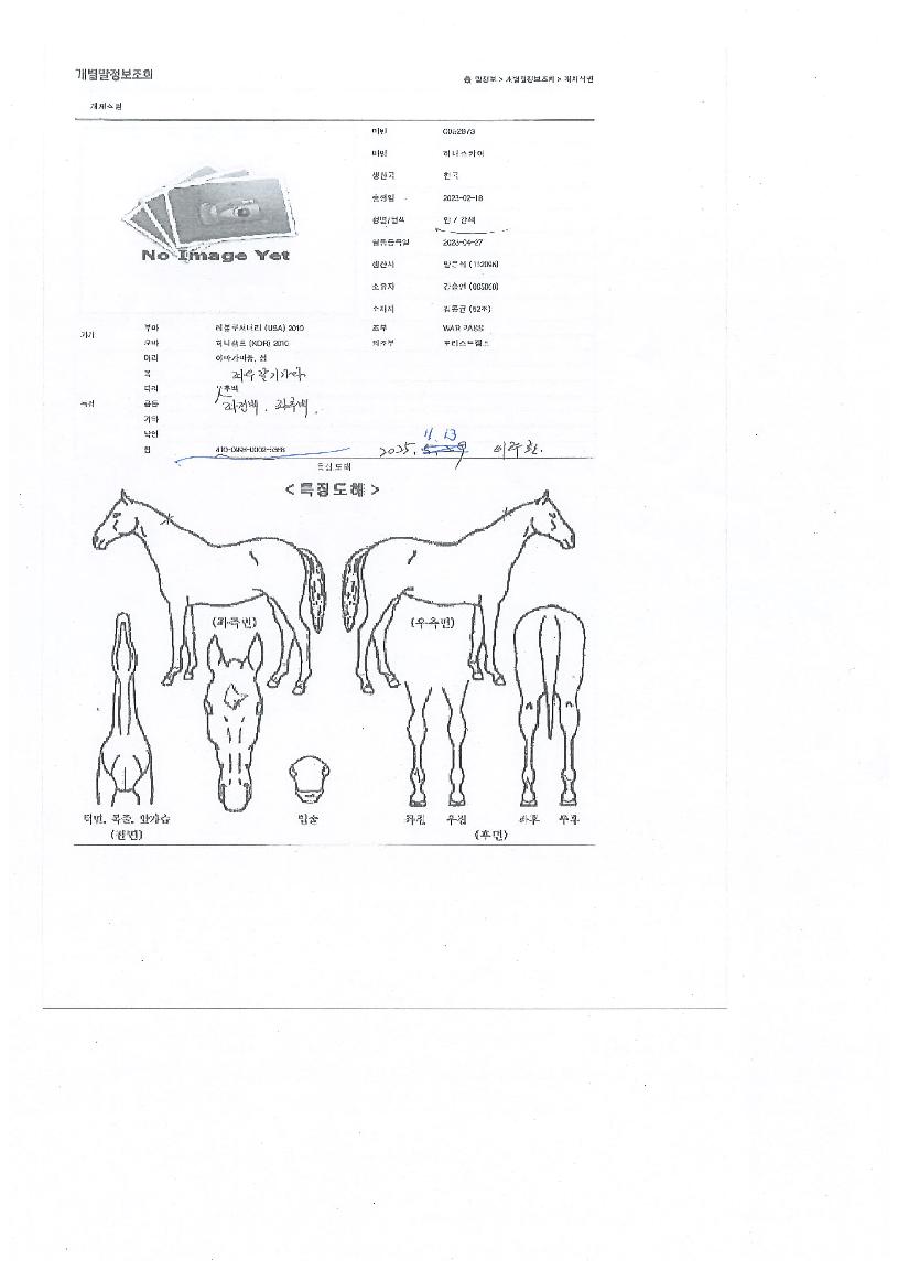 Çã´Ï½ºÄ«ÀÌÀÇ Ãø¸é,¿ì¸é,µÞ¸é,µÎ»ó,´Ù¸®ÀÇ Æ¯Â¡µµÇØ