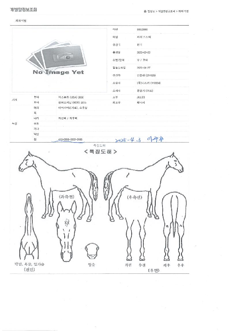 ¶óÀ̺꽺ŸÀÇ Ãø¸é,¿ì¸é,µÞ¸é,µÎ»ó,´Ù¸®ÀÇ Æ¯Â¡µµÇØ